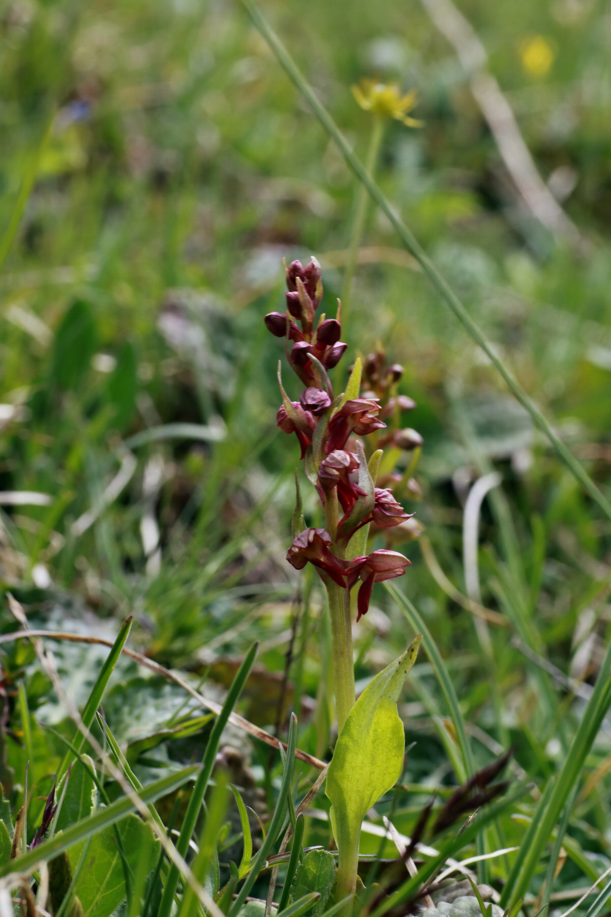 2015_06_22_005771p_Bildgr��e �ndern