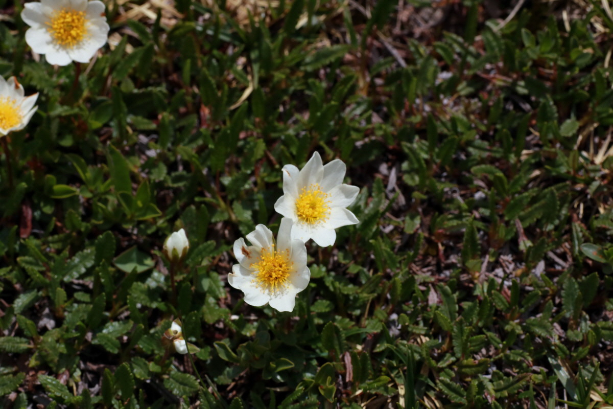 2015_06_22_005776p_Bildgr��e �ndern