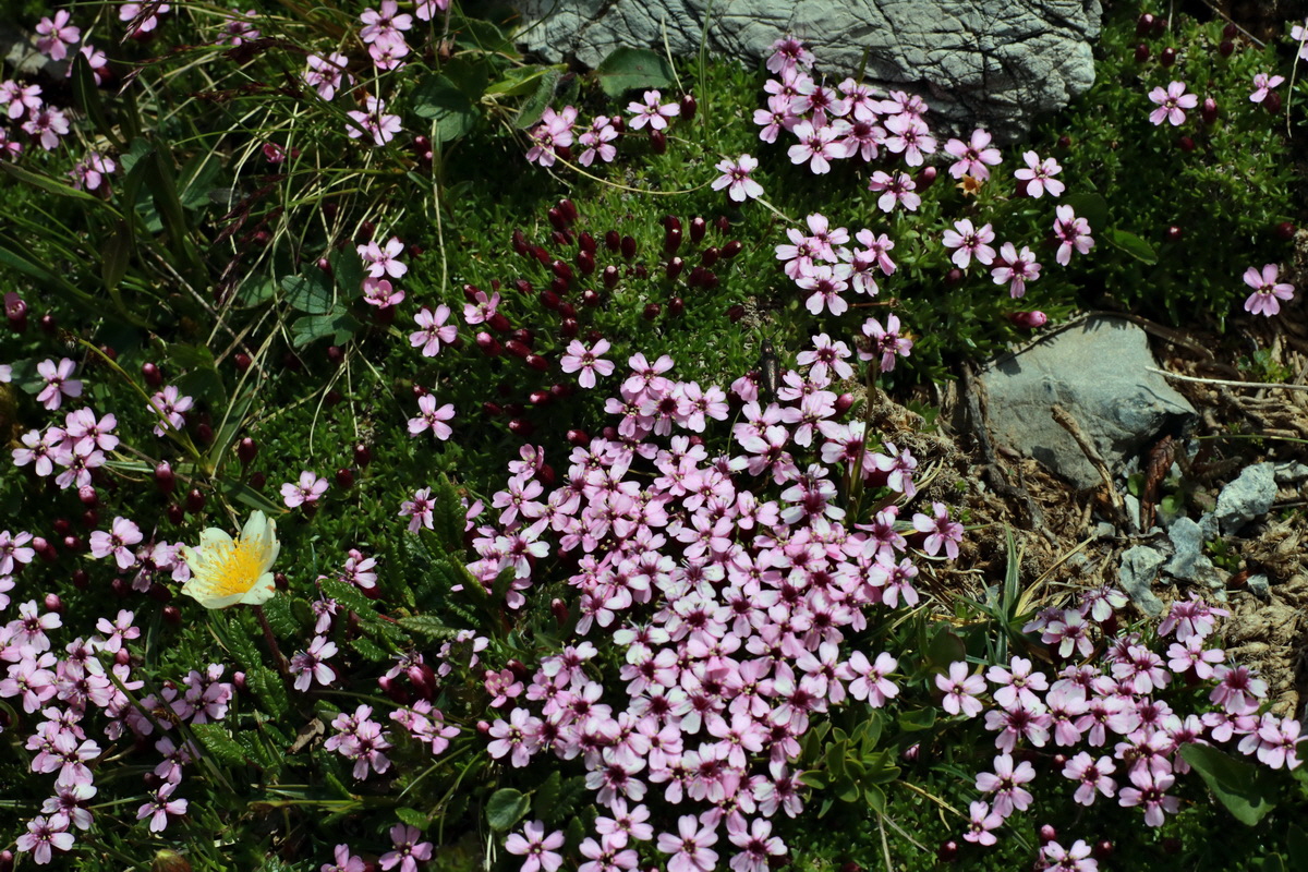 2015_06_22_005778p_Bildgr��e �ndern