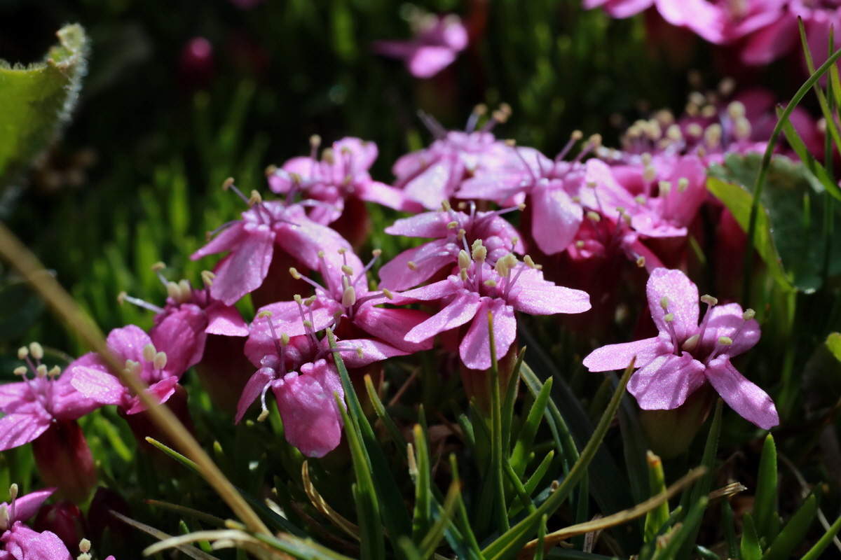 2015_06_22_005780p_Bildgr��e �ndern