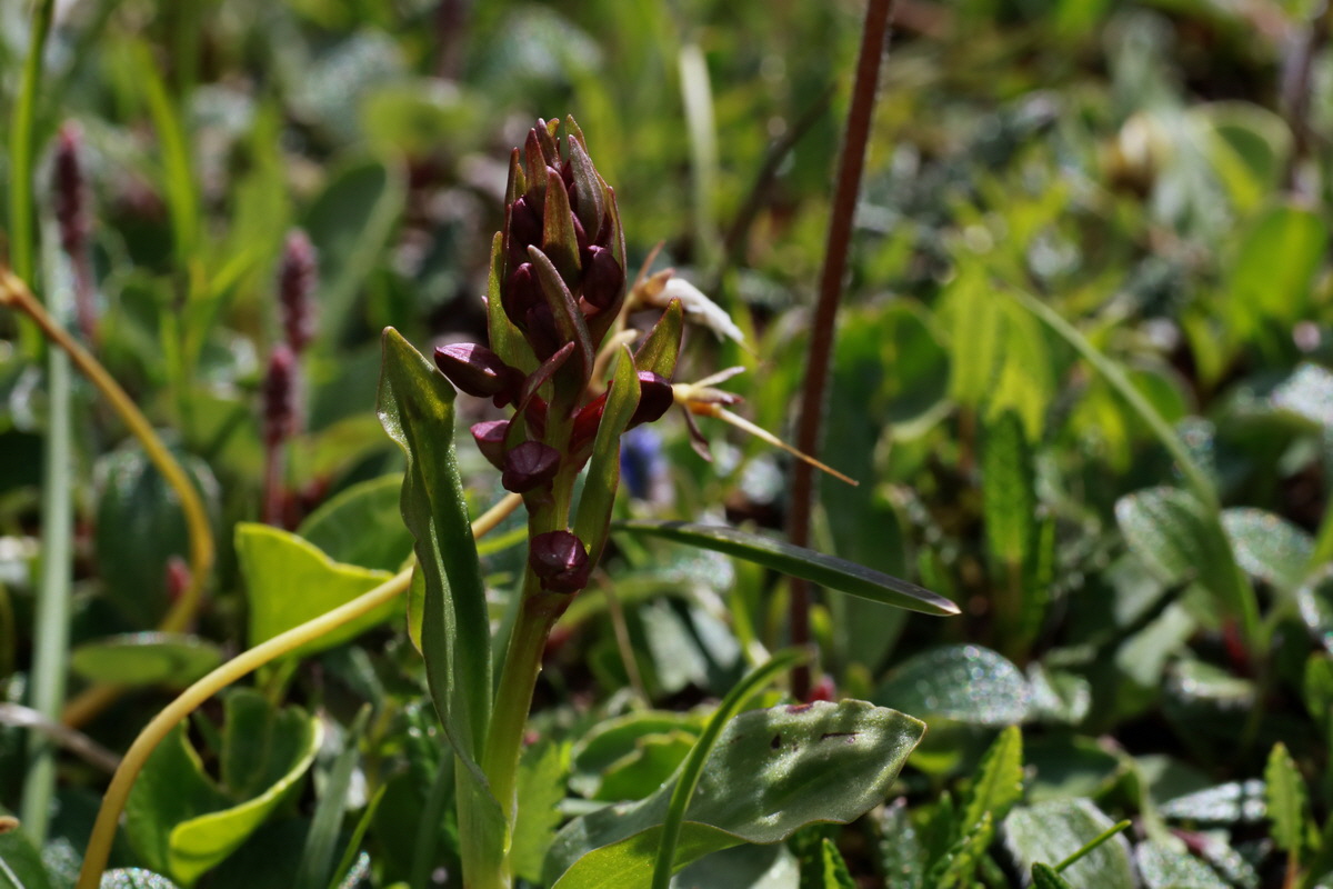 2015_06_22_005784p_Bildgr��e �ndern