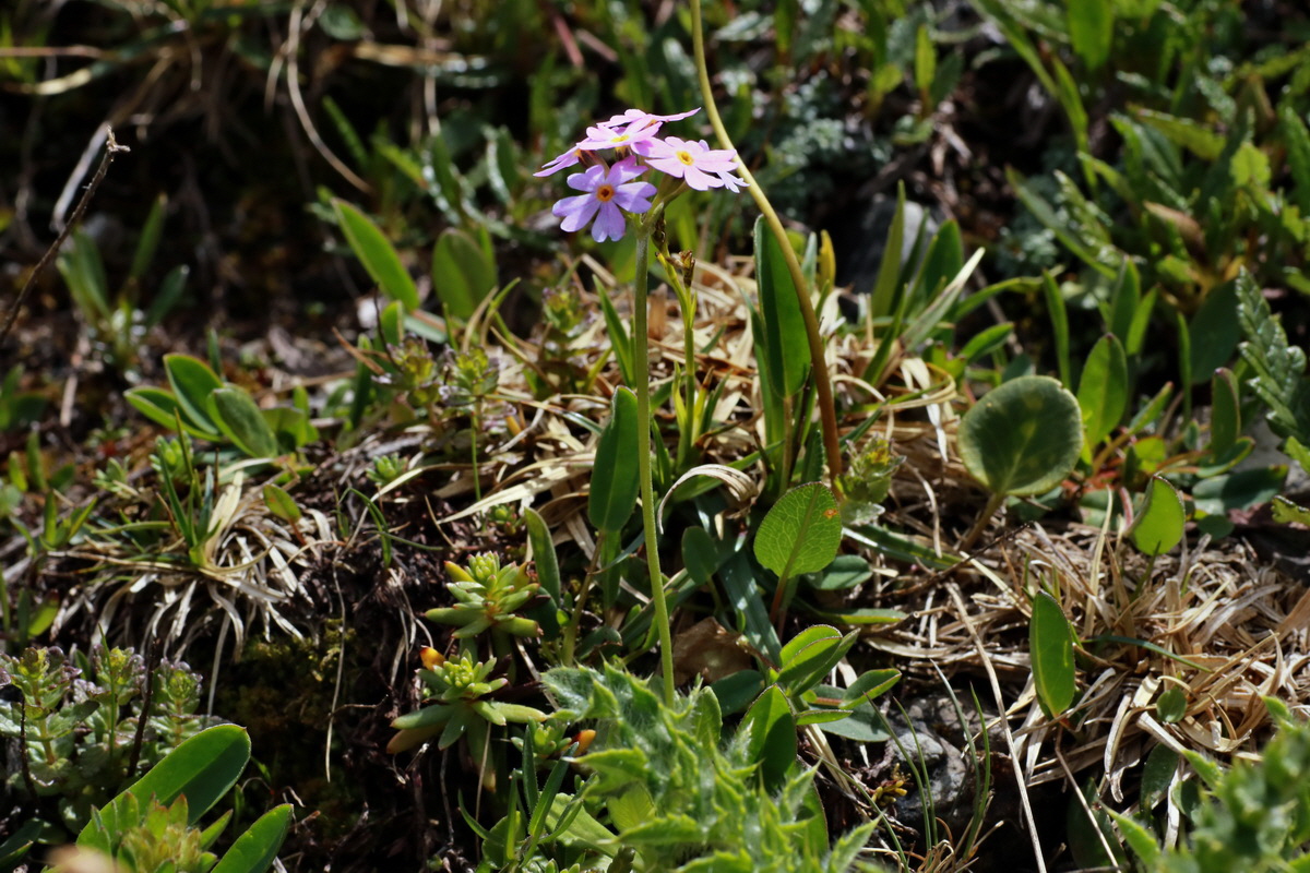 2015_06_22_005786p_Bildgr��e �ndern