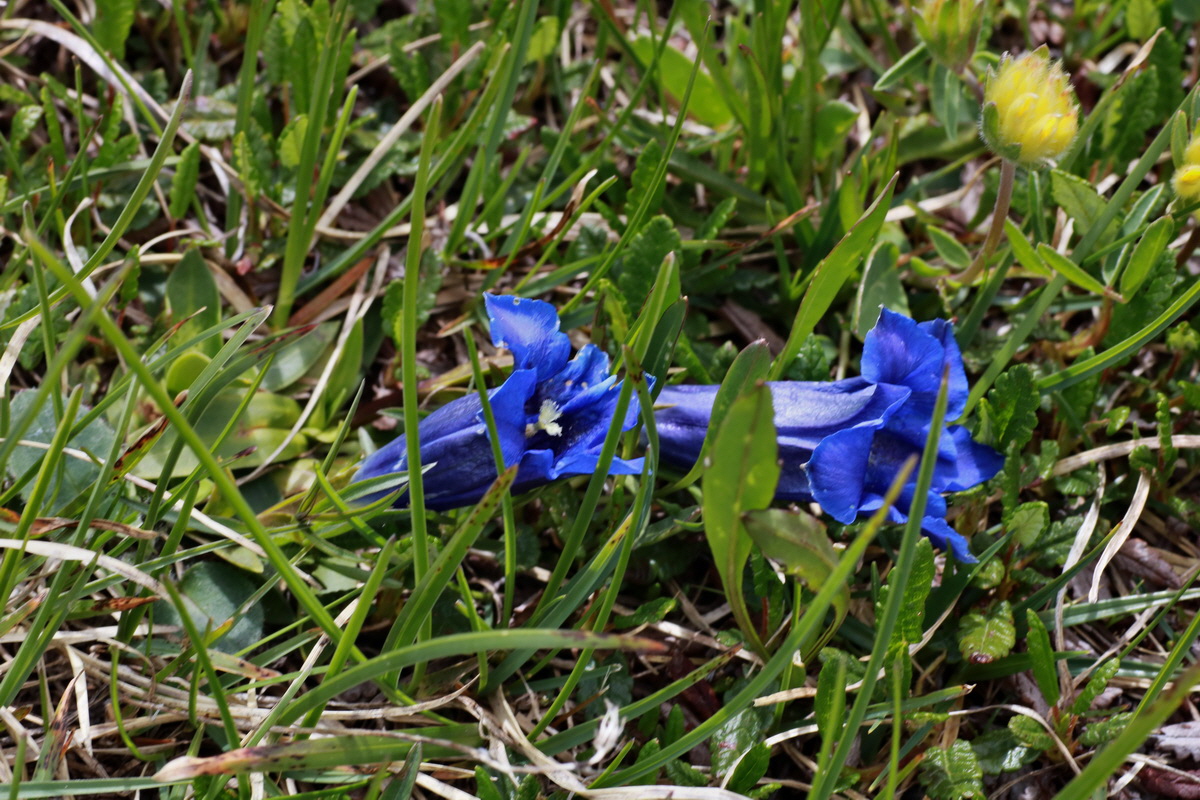 2015_06_22_005788p_Bildgr��e �ndern