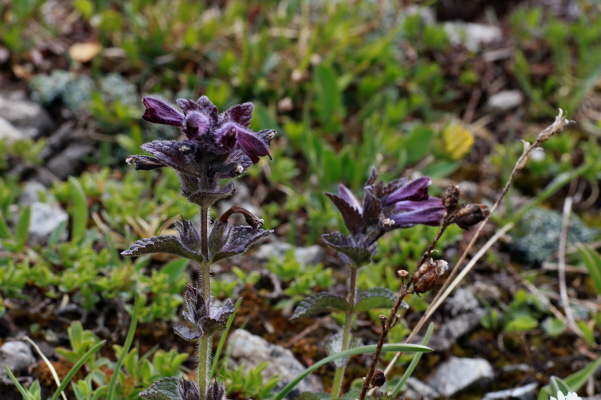 2015_06_22_005792p_Bildgr��e �ndern