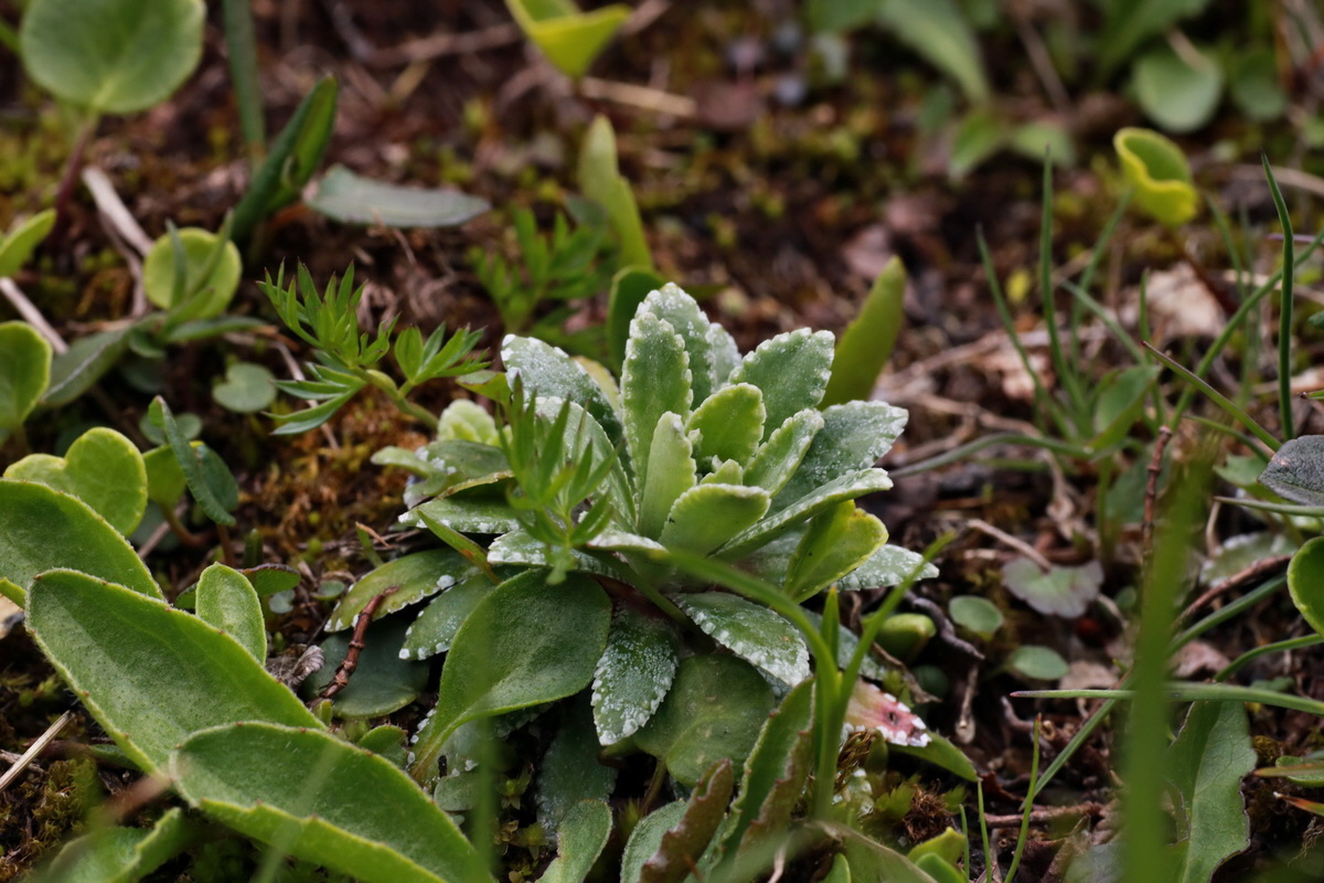 2015_06_22_005794p_Bildgr��e �ndern