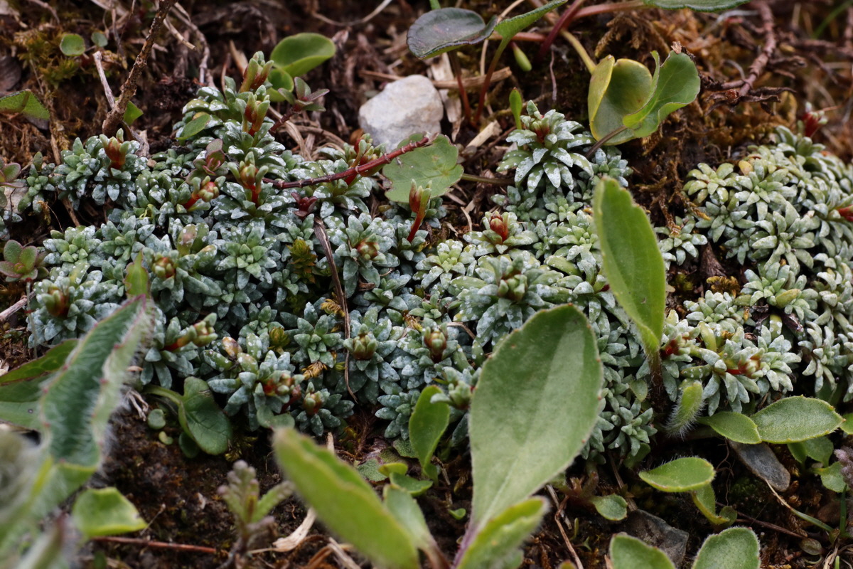 2015_06_22_005798p_Bildgr��e �ndern