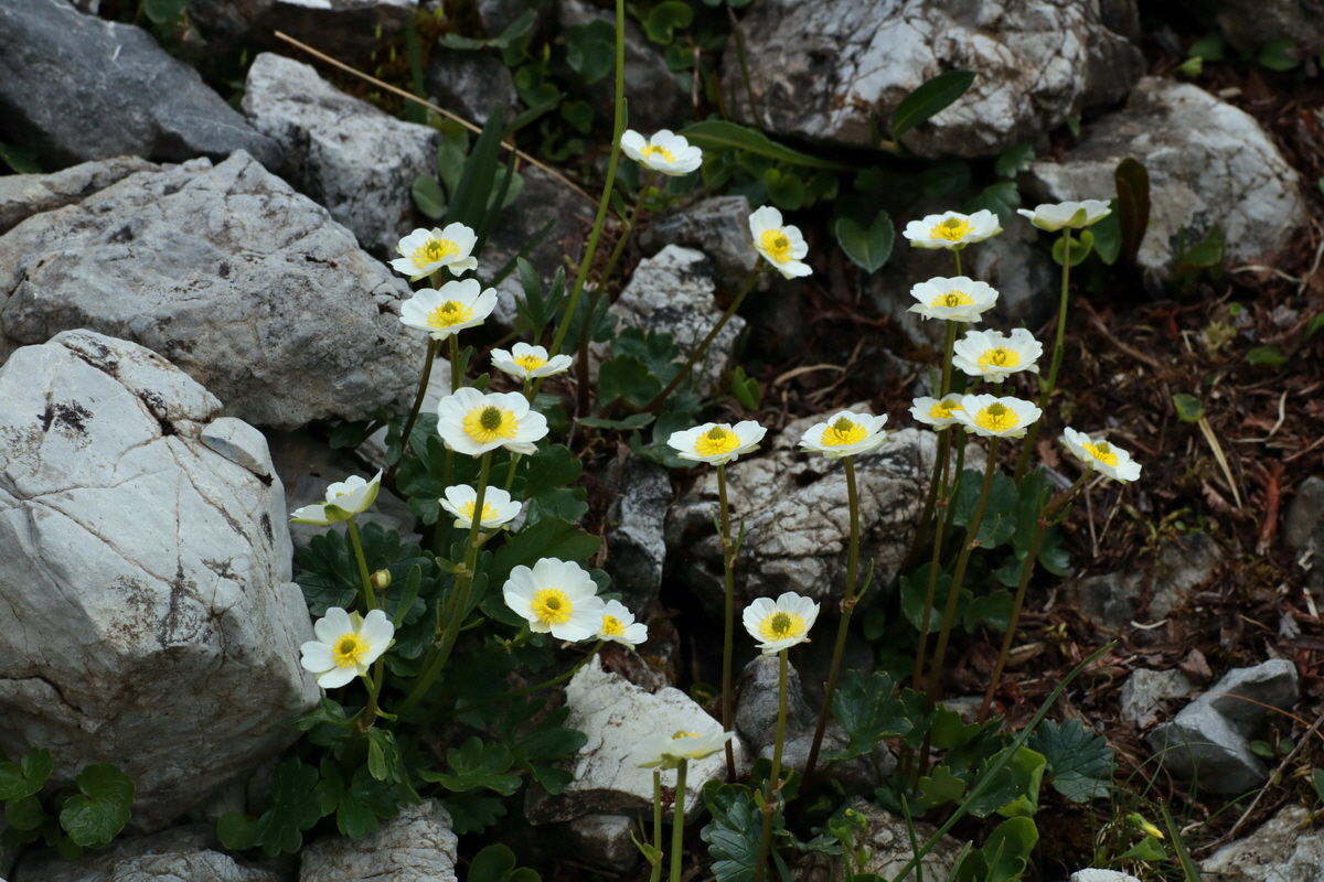 2015_06_22_005801p_Bildgr��e �ndern