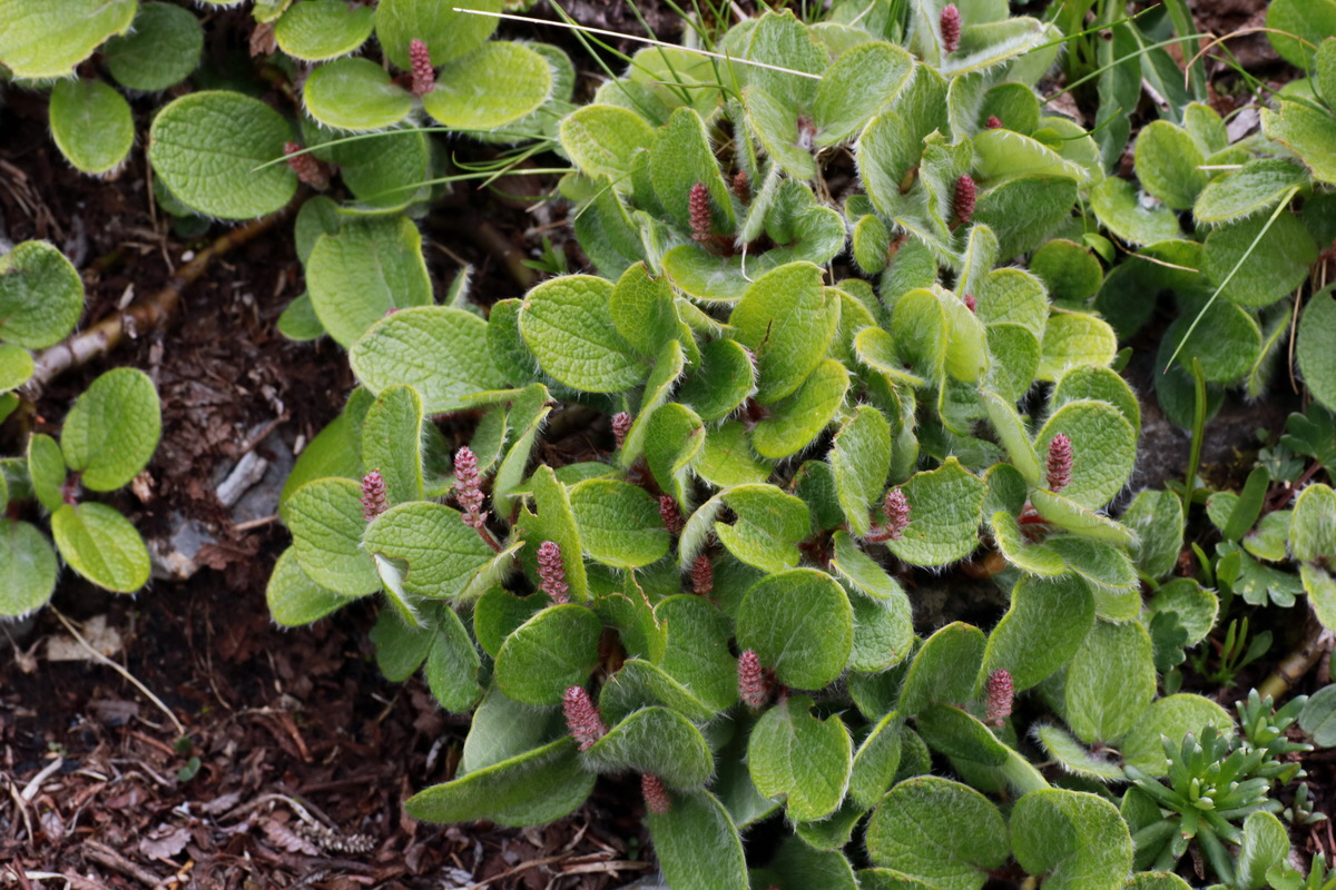 2015_06_22_005803p_Bildgr��e �ndern