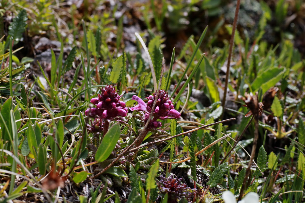 2015_06_22_005816p_Bildgr��e �ndern