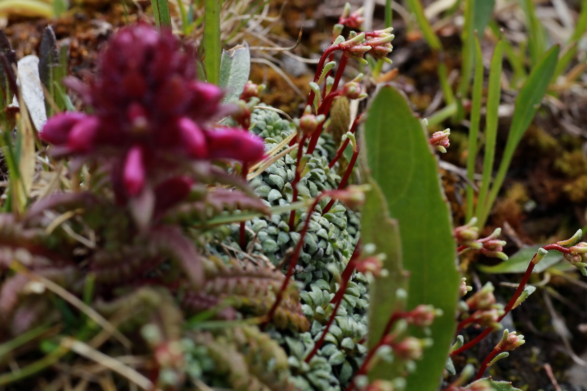 2015_06_22_005818p_Bildgr��e �ndern