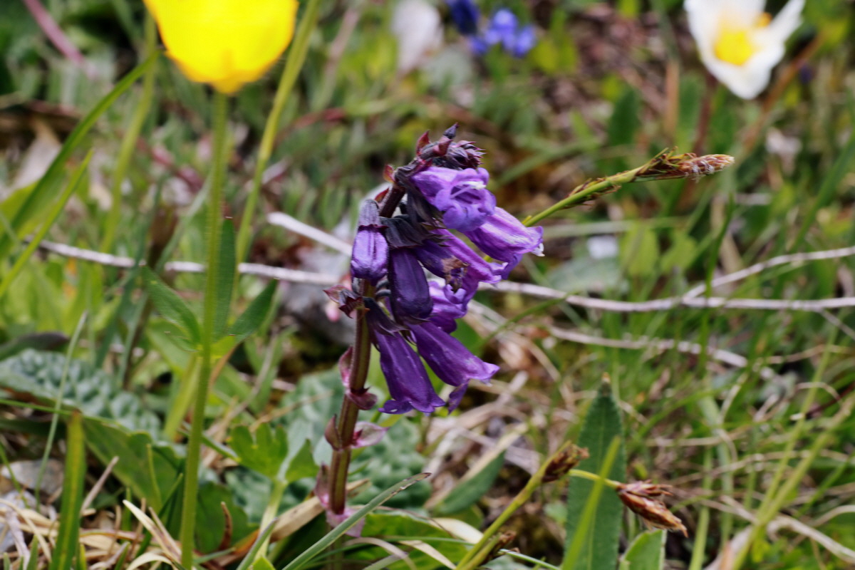 2015_06_22_005819p_Bildgr��e �ndern