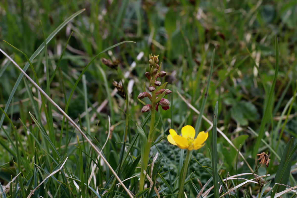 2015_06_22_005824p_Bildgr��e �ndern