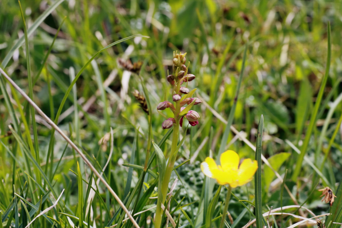 2015_06_22_005825p_Bildgr��e �ndern