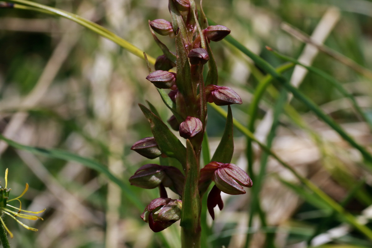 2015_06_22_005837p_Bildgr��e �ndern