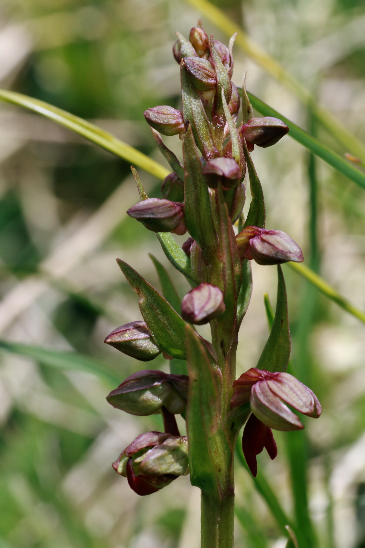 2015_06_22_005841p_Bildgr��e �ndern