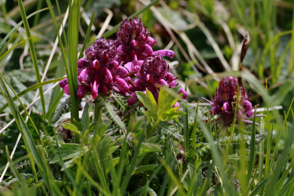 2015_06_22_005846p_Bildgr��e �ndern