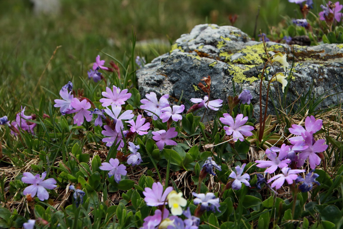 2015_06_22_005962p_Bildgr��e �ndern