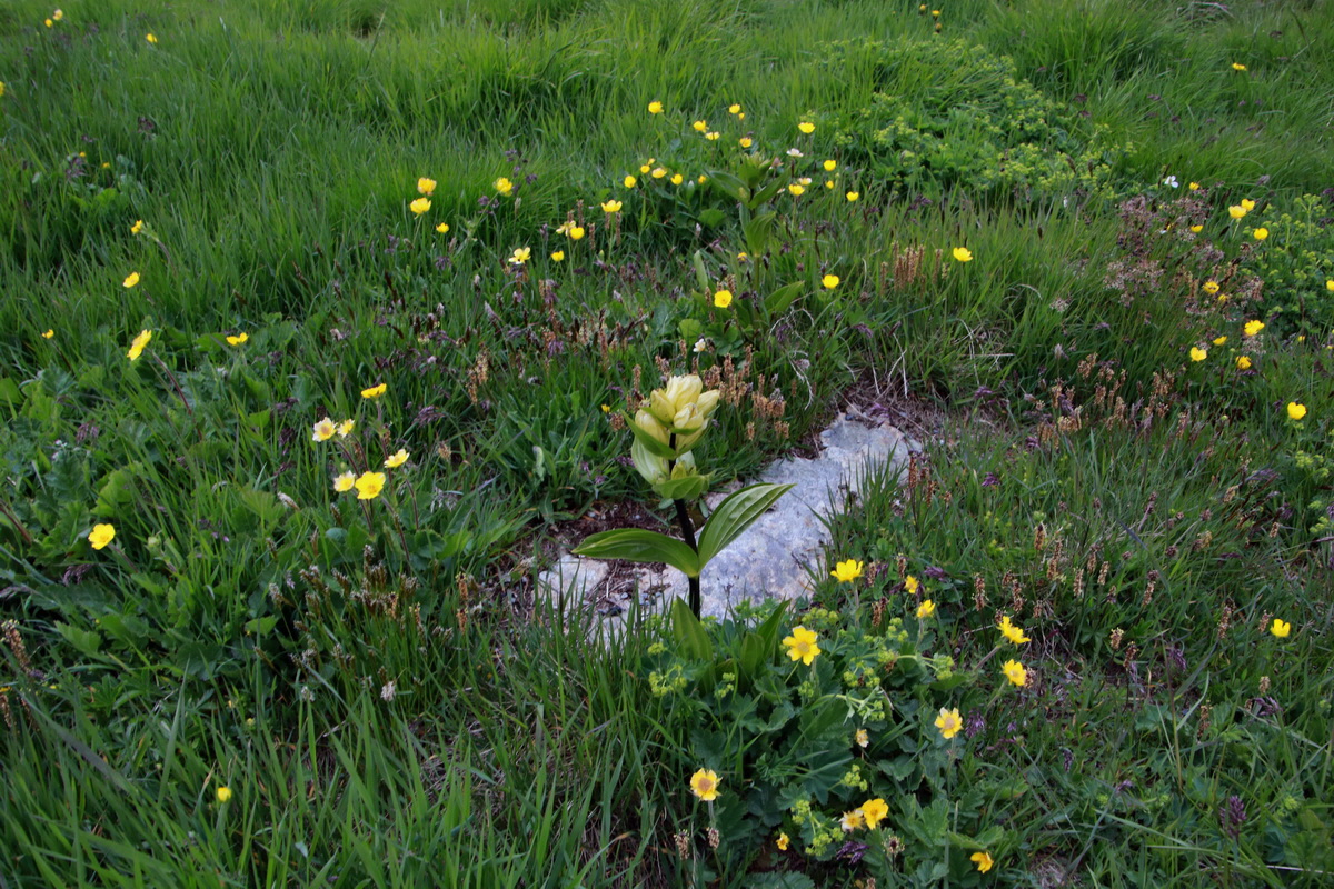 2015_06_22_005964p_Bildgr��e �ndern