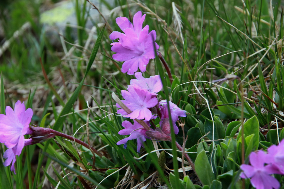 2015_06_22_005981p_Bildgr��e �ndern