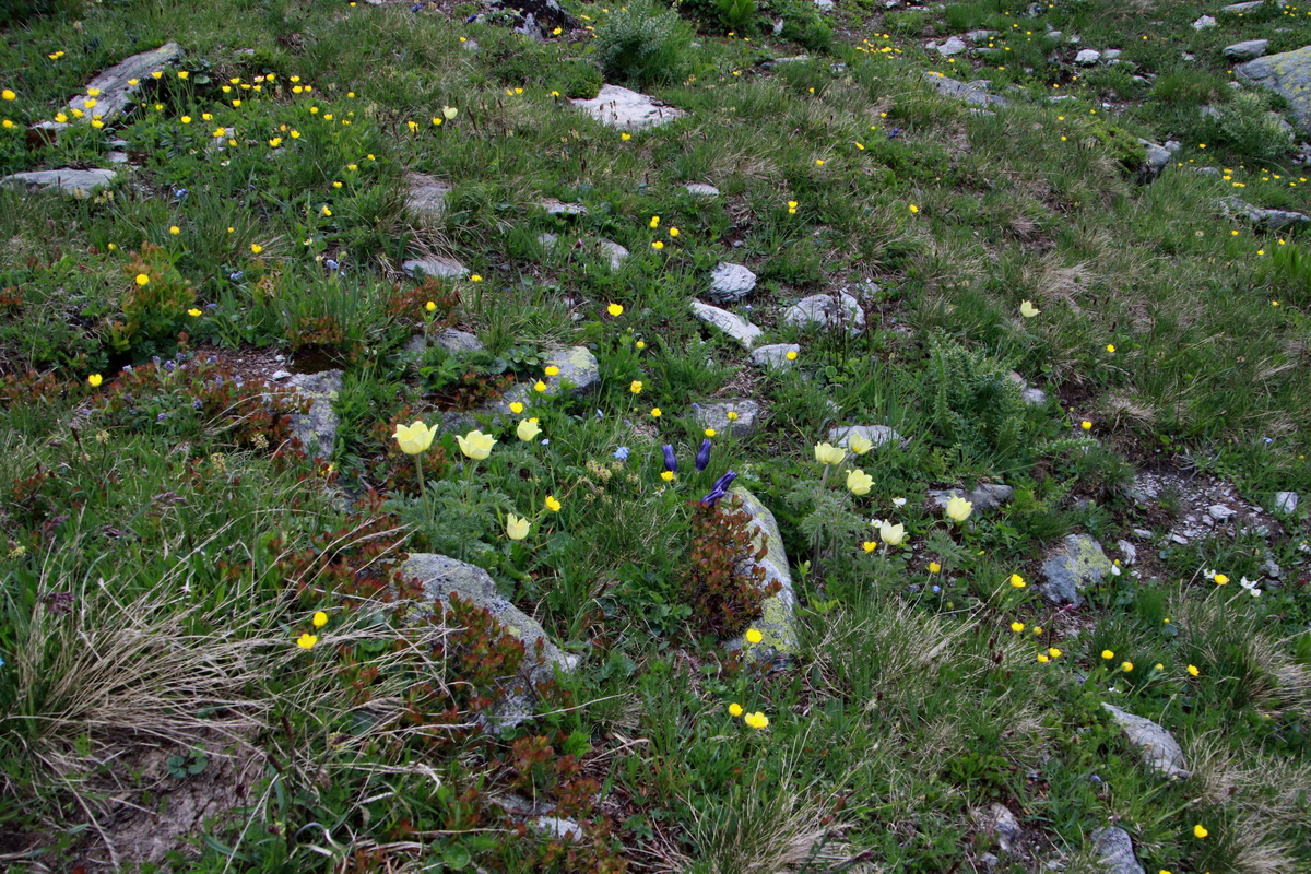 2015_06_22_005991p_Bildgr��e �ndern