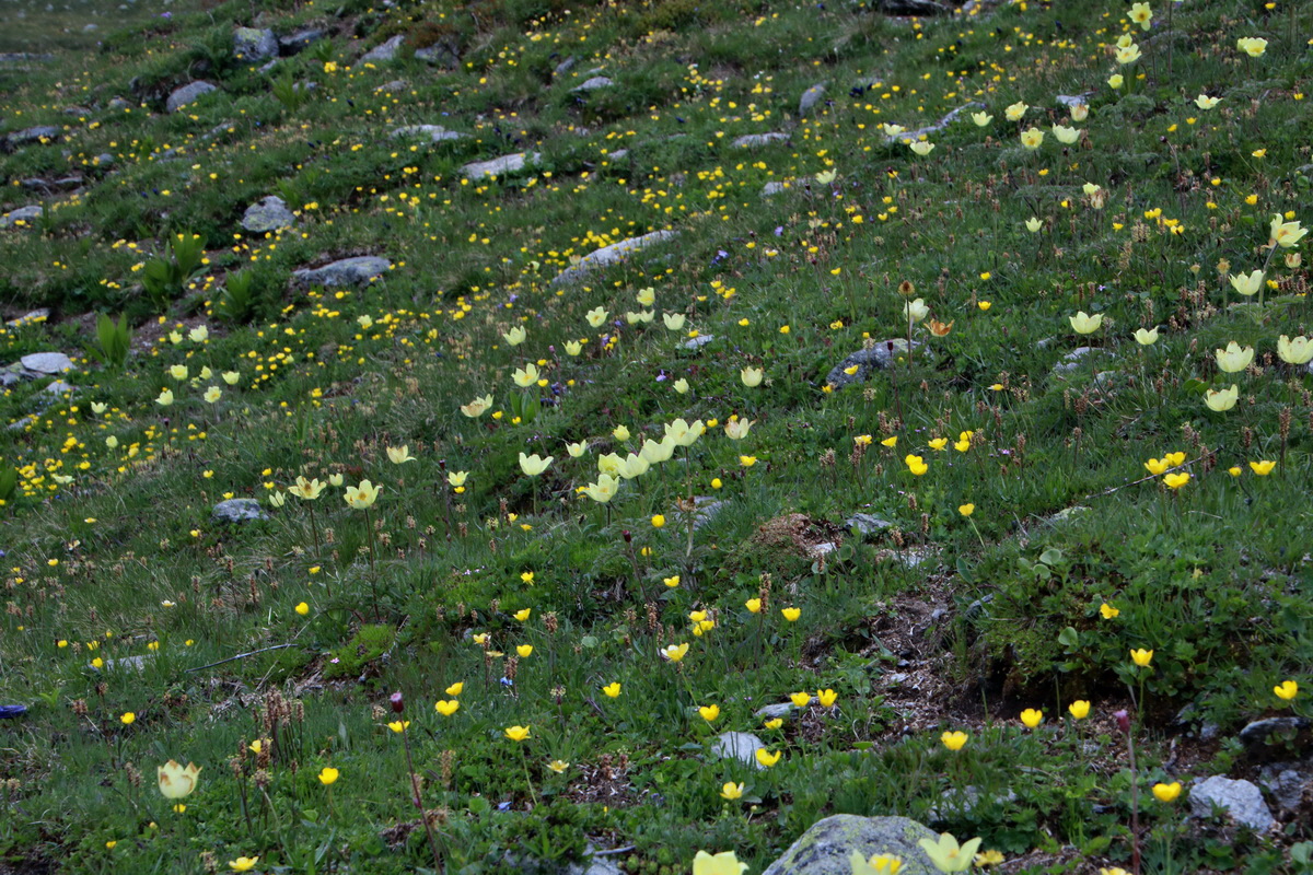 2015_06_22_005993p_Bildgr��e �ndern