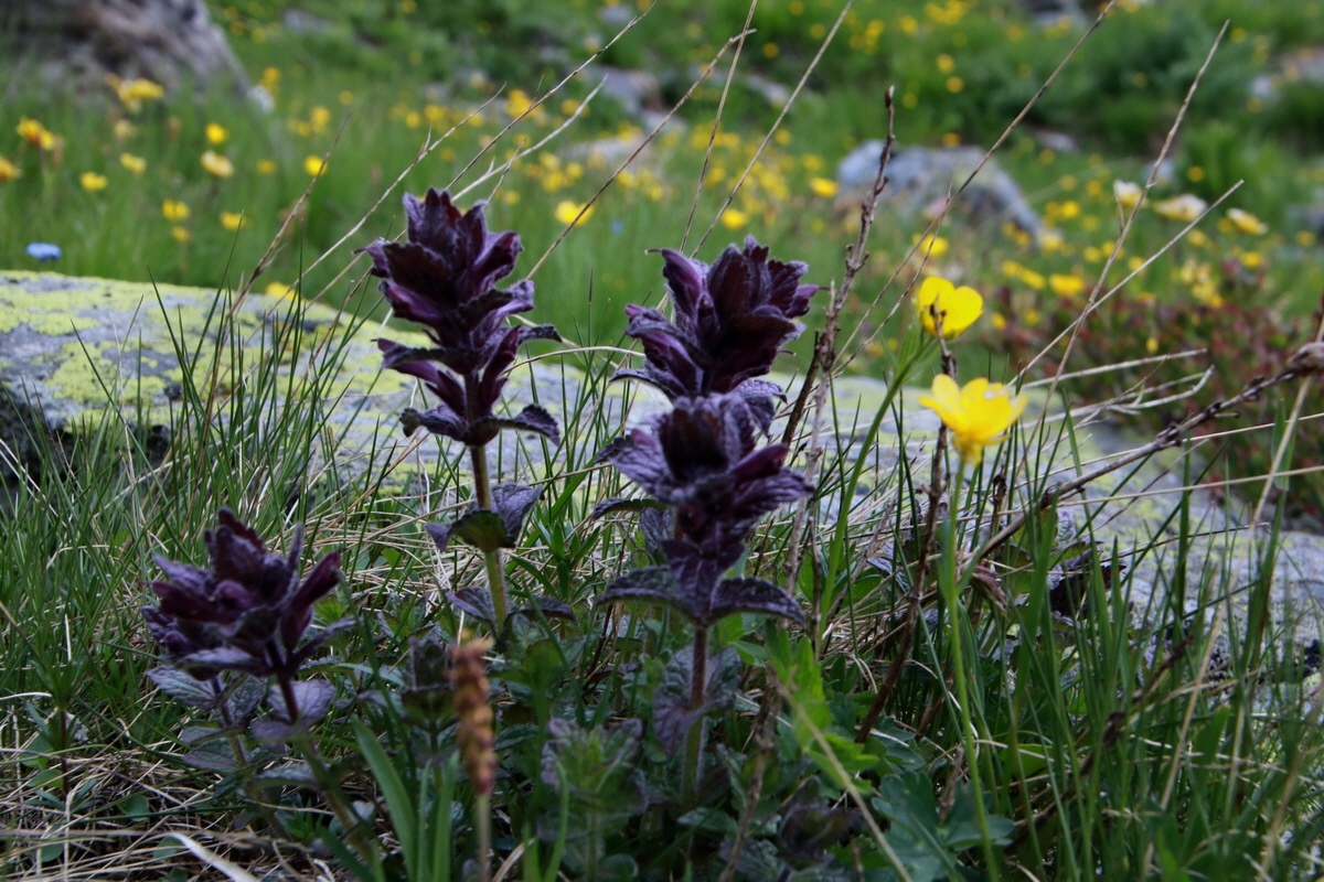 2015_06_22_006000p_Bildgr��e �ndern