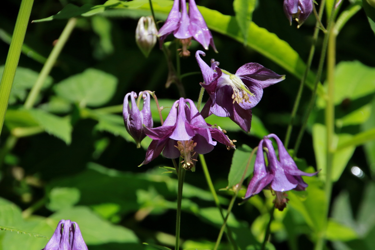 2015_06_23_006027p_Bildgr��e �ndern