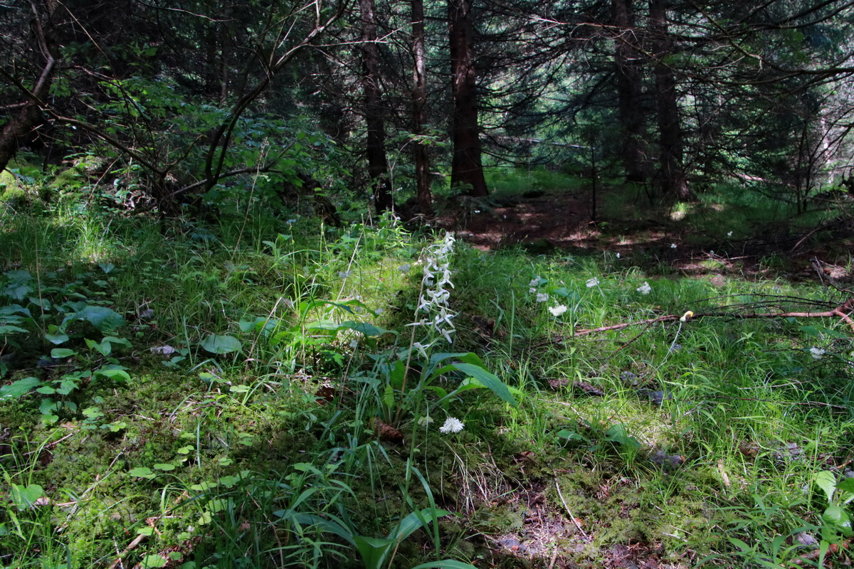 2015_06_23_006034p_Bildgr��e �ndern