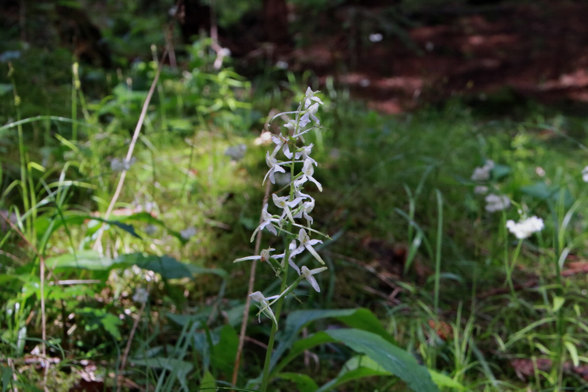 2015_06_23_006037p_Bildgr��e �ndern