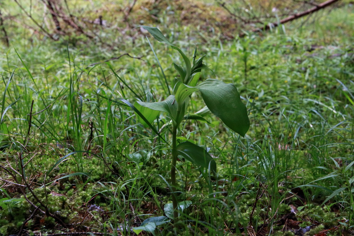 2015_06_23_006040p_Bildgr��e �ndern