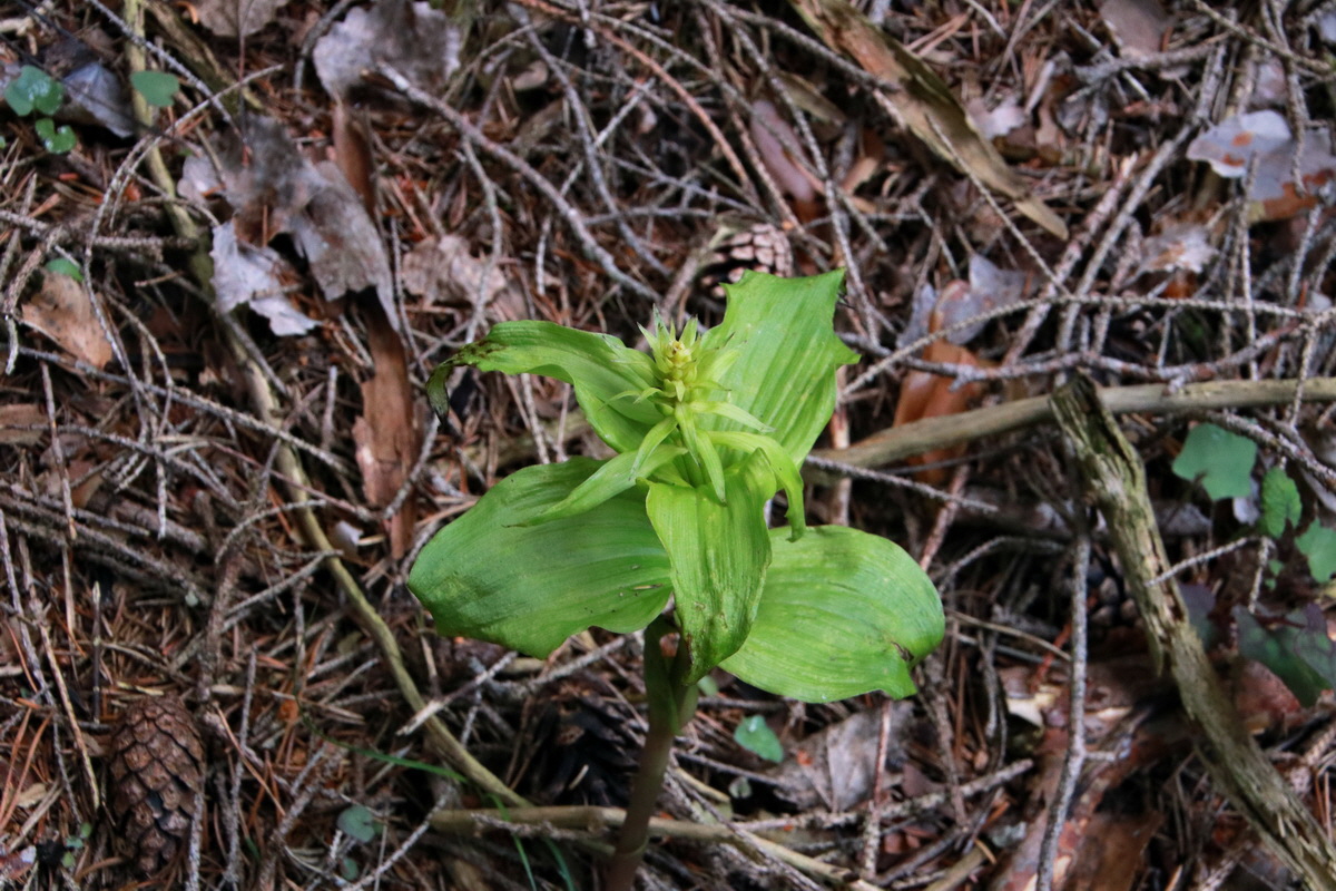 2015_06_23_006042p_Bildgr��e �ndern