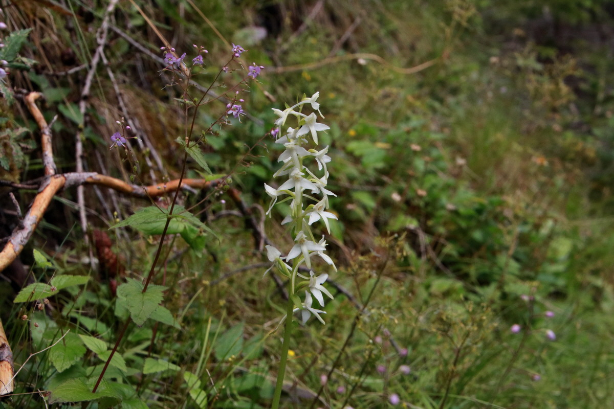 2015_06_23_006052p_Bildgr��e �ndern