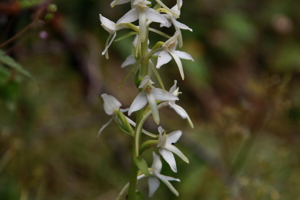 2015_06_23_006054p_Bildgr��e �ndern