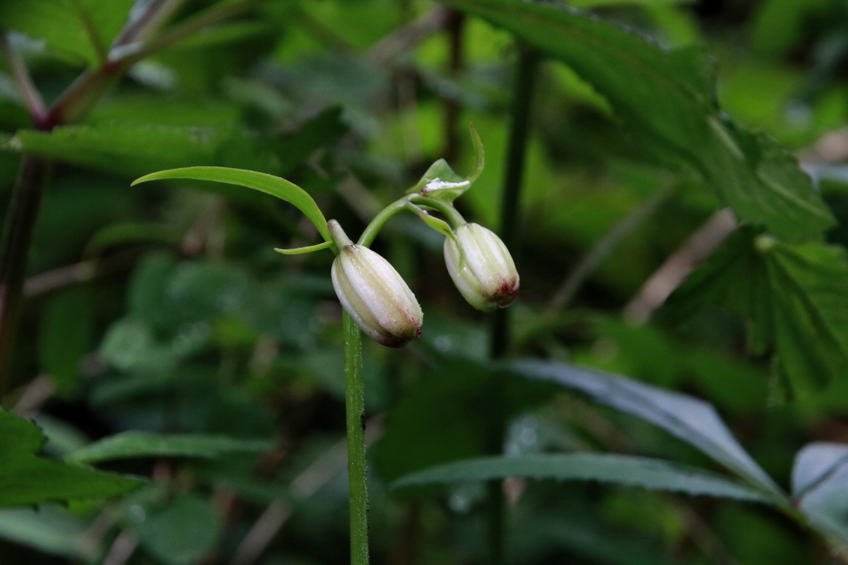 2015_06_23_006060p_Bildgr��e �ndern