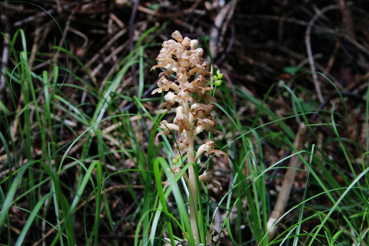 2015_06_23_006064p_Bildgr��e �ndern