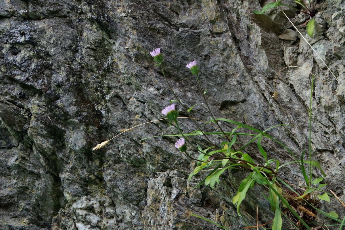 2015_06_23_006092p_Bildgr��e �ndern