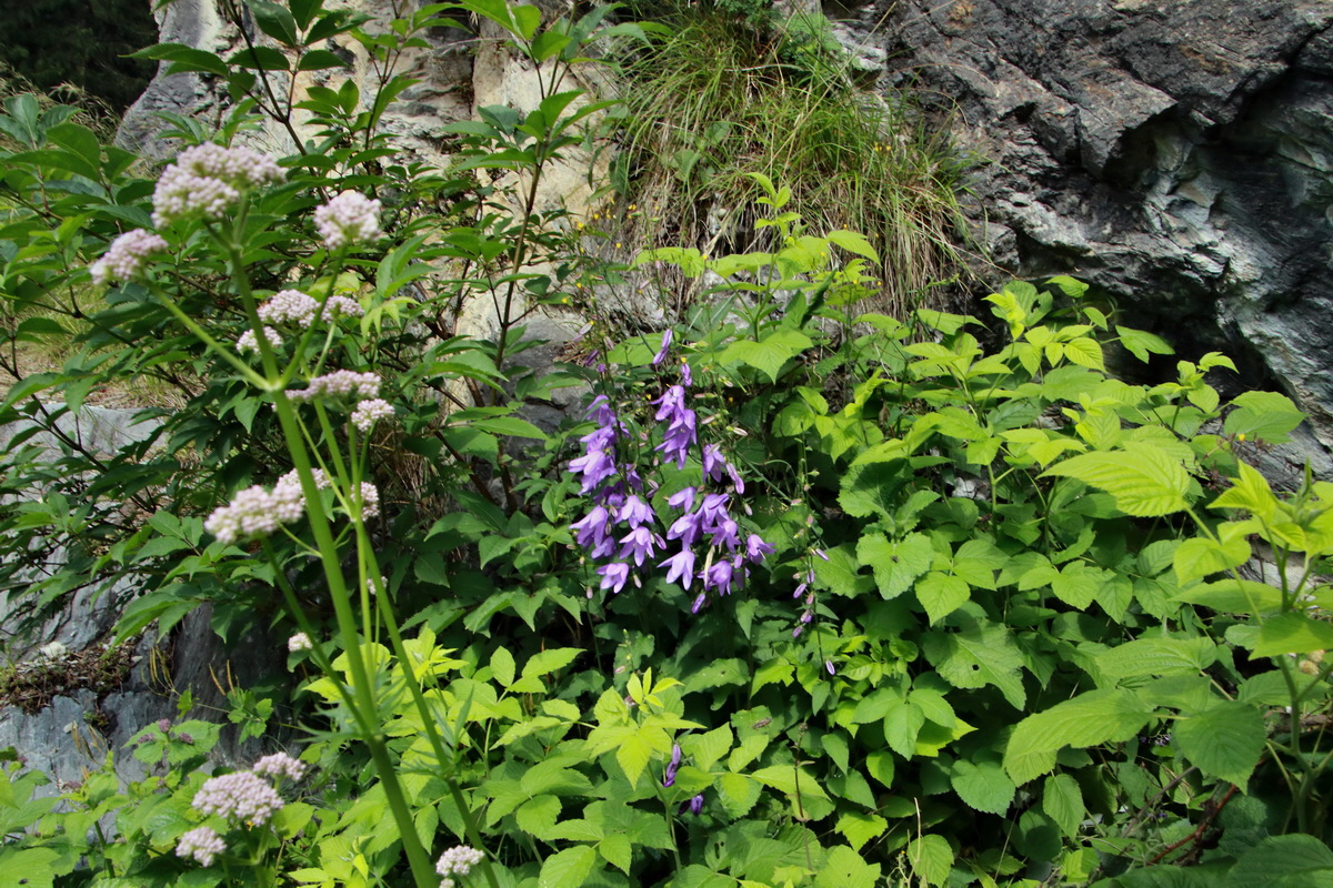 2015_06_23_006118p_Bildgr��e �ndern