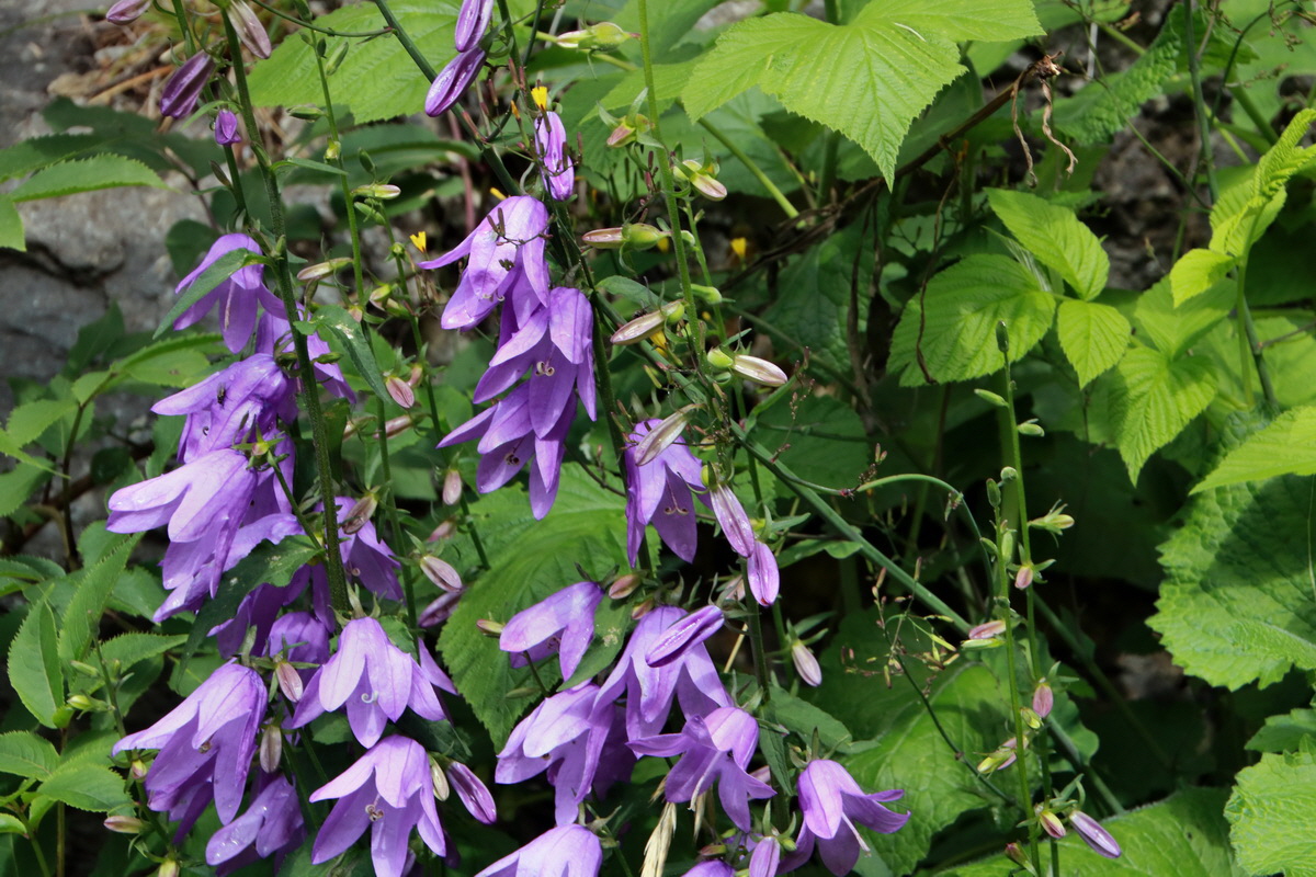 2015_06_23_006119p_Bildgr��e �ndern