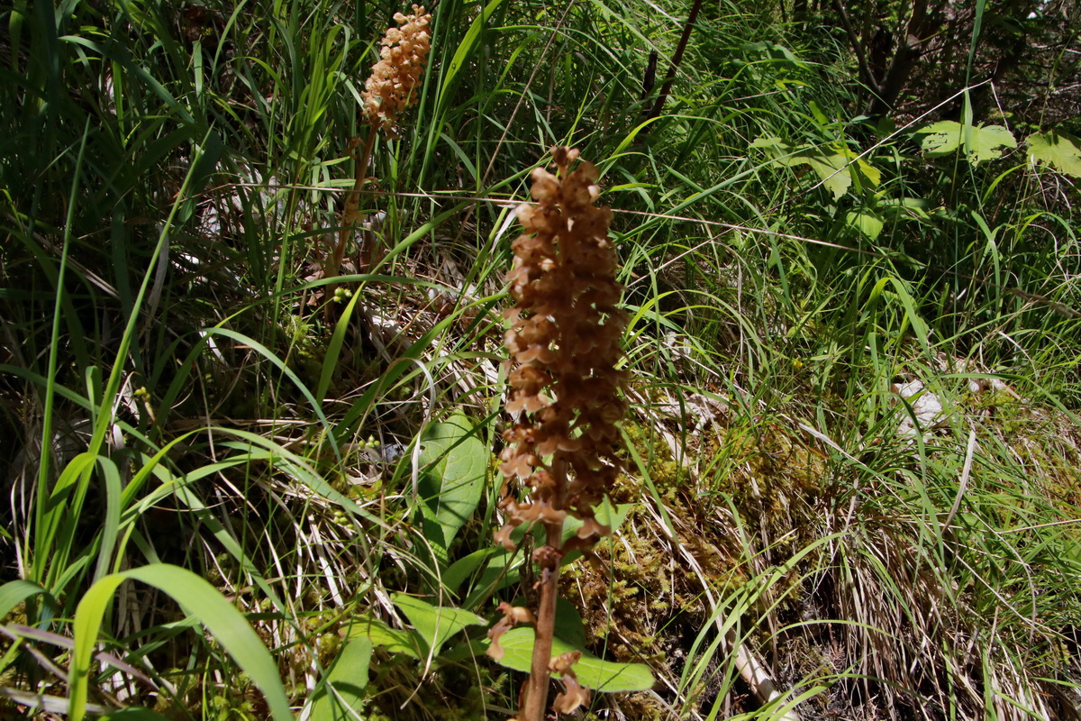 2015_06_23_006237p_Bildgr��e �ndern