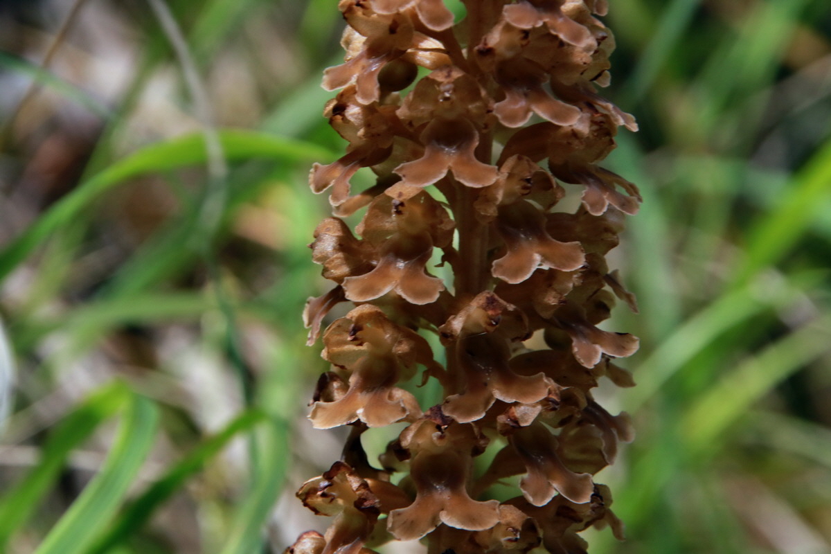 2015_06_23_006240p_Bildgr��e �ndern