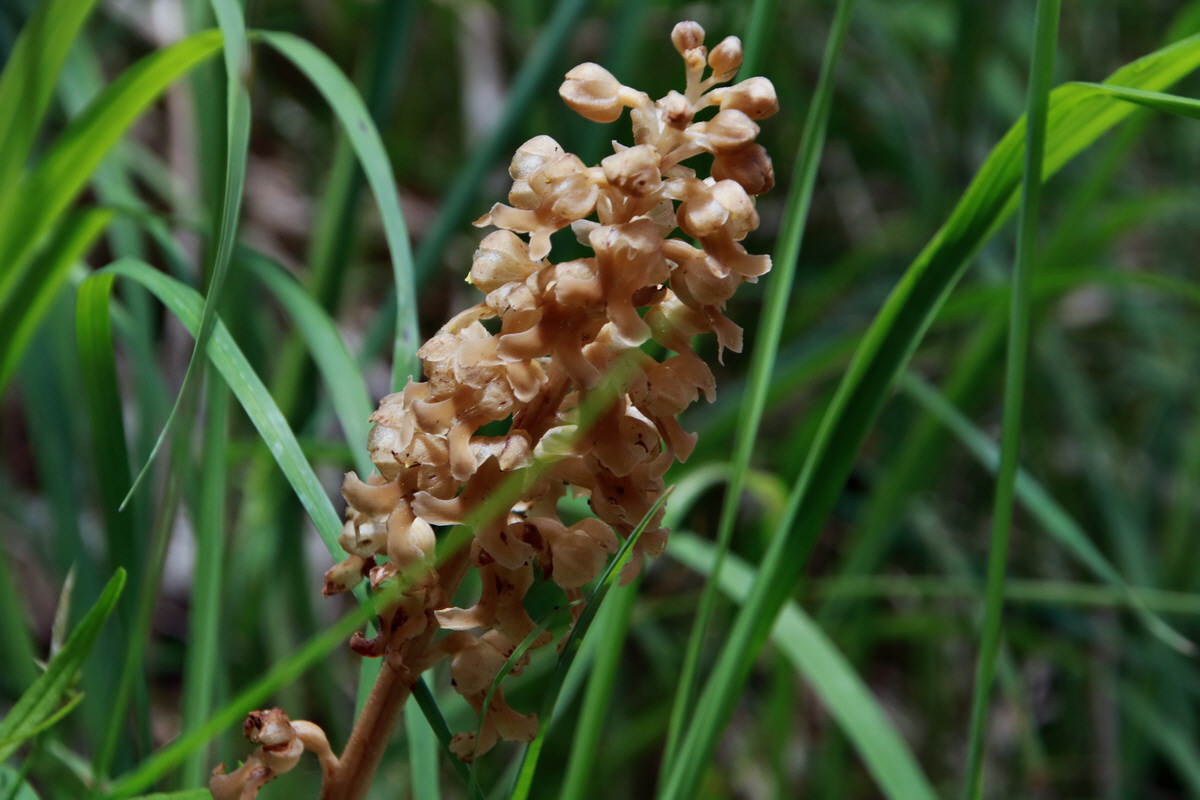 2015_06_23_006245p_Bildgr��e �ndern