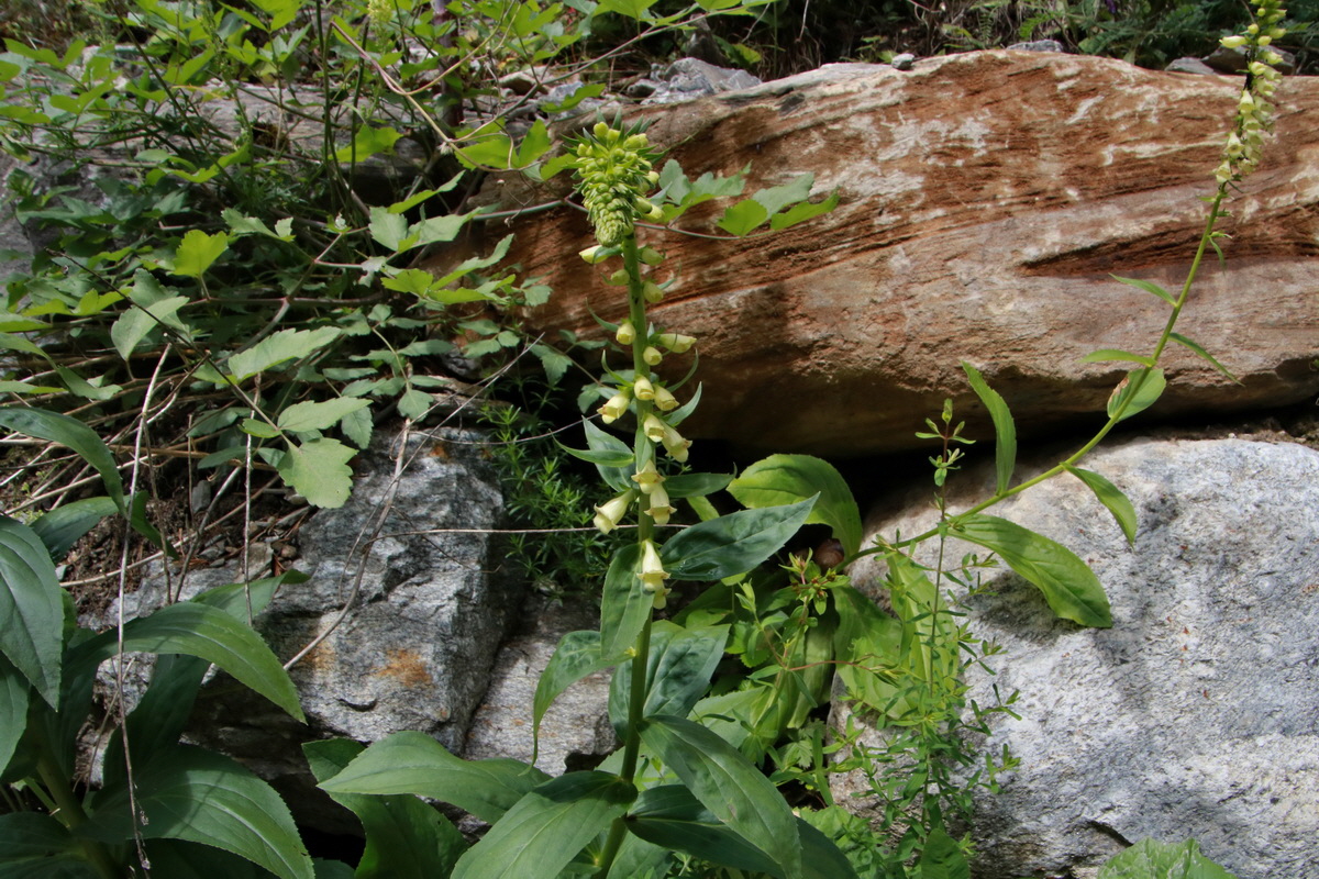 2015_06_23_006257p_Bildgr��e �ndern