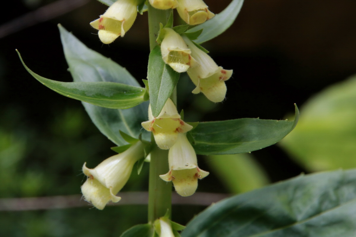 2015_06_23_006258p_Bildgr��e �ndern