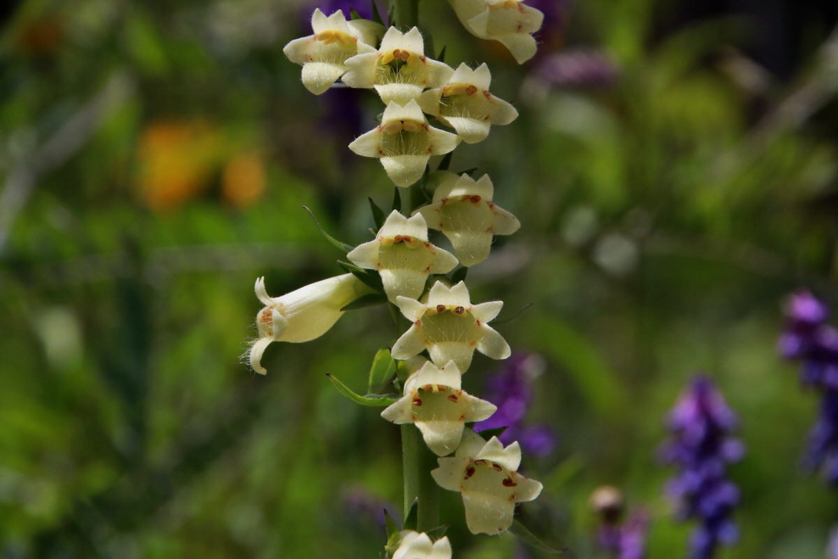 2015_06_23_006264p_Bildgr��e �ndern