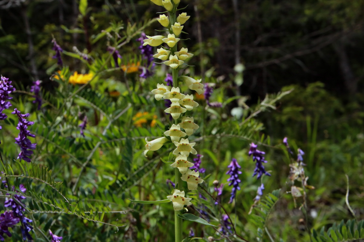 2015_06_23_006267p_Bildgr��e �ndern