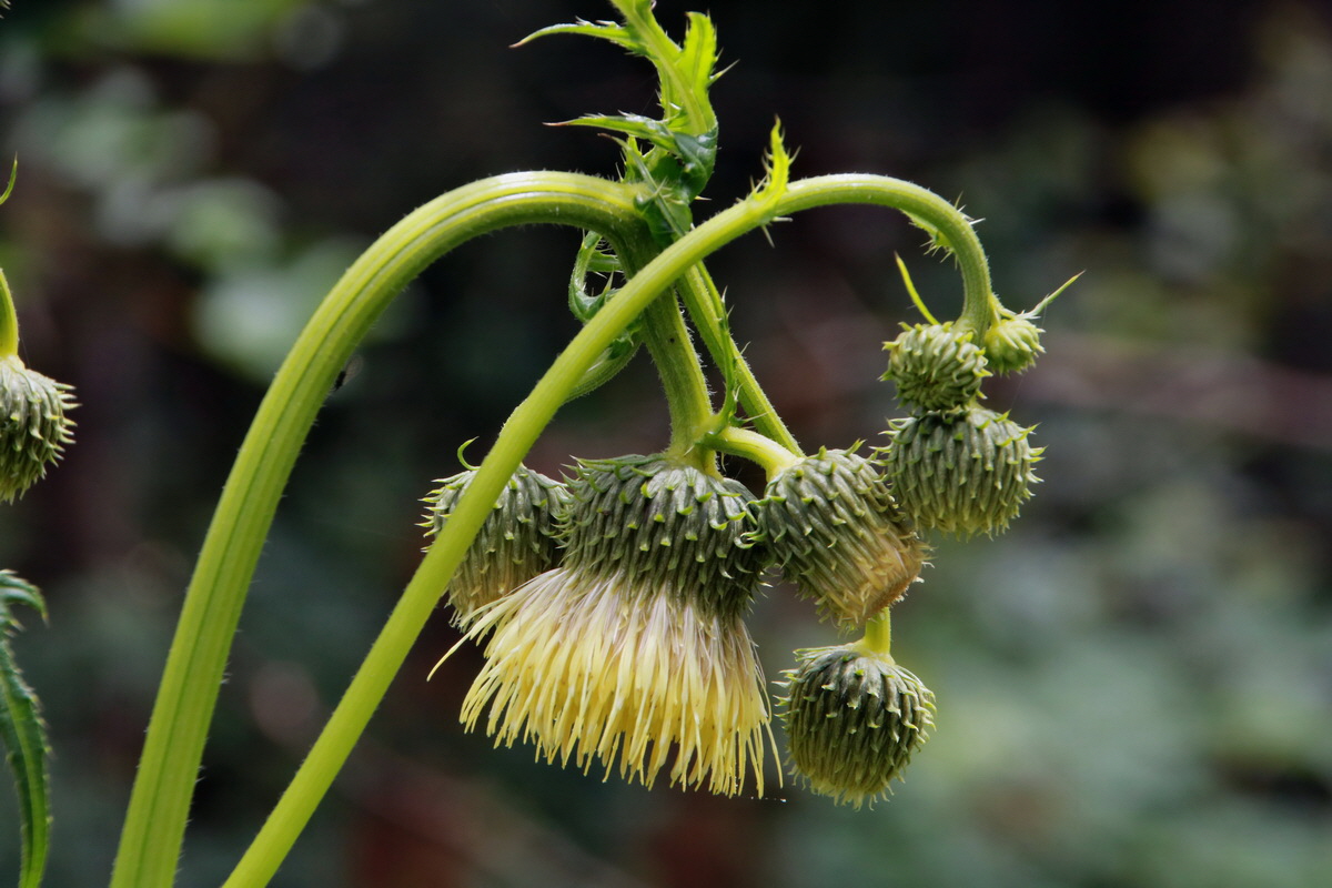 2015_06_23_006274p_Bildgr��e �ndern