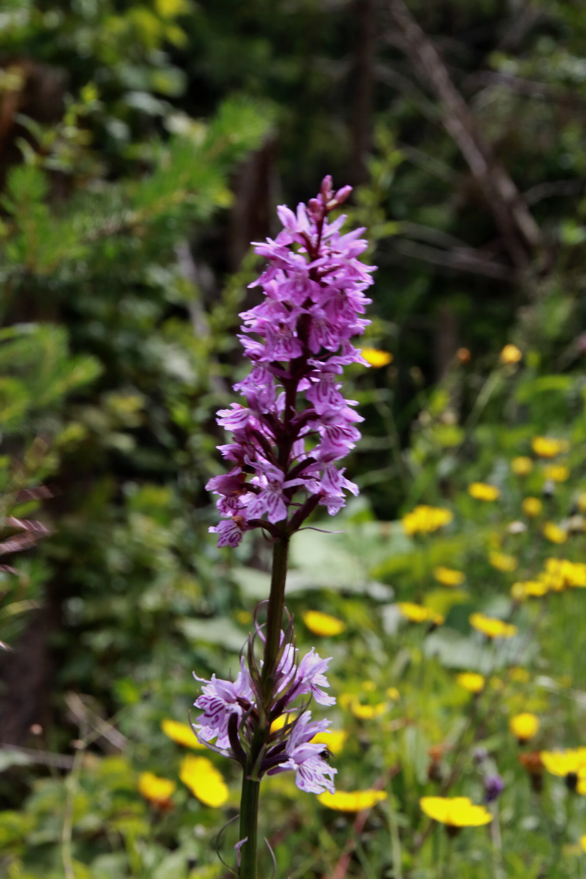 2015_06_23_006278p_Bildgr��e �ndern