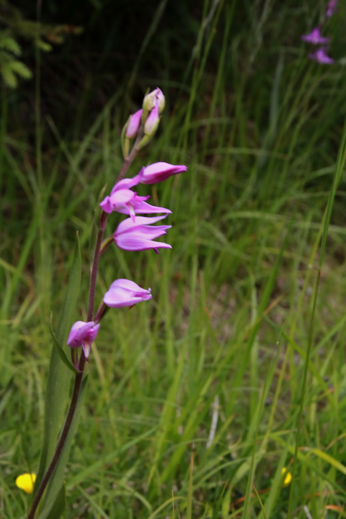 2015_06_23_006297p_Bildgr��e �ndern