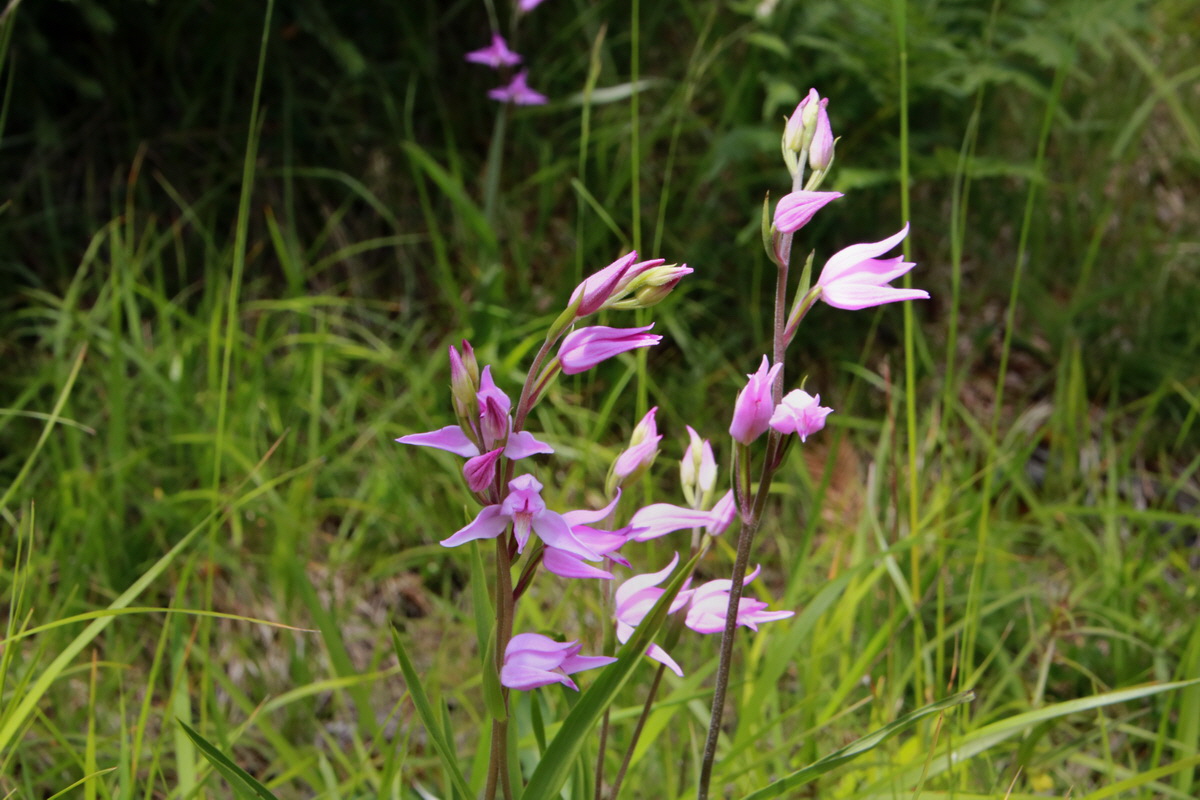 2015_06_23_006302p_Bildgr��e �ndern