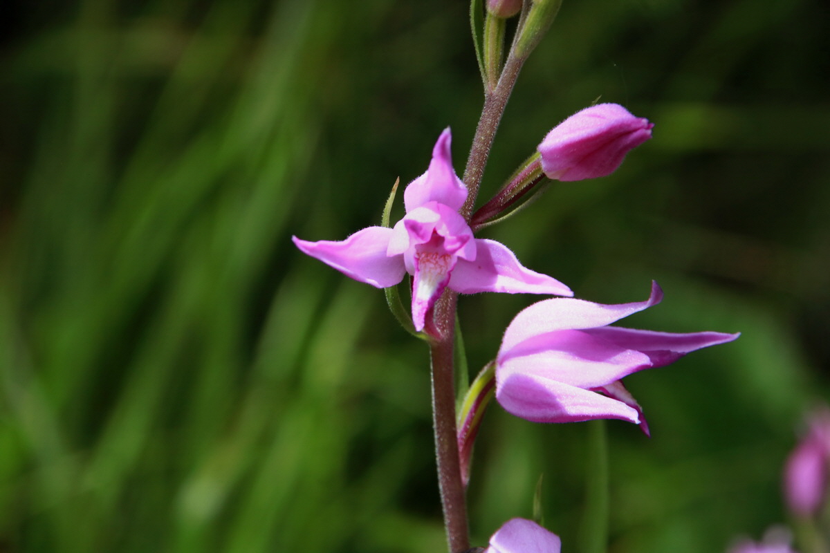 2015_06_23_006307p_Bildgr��e �ndern